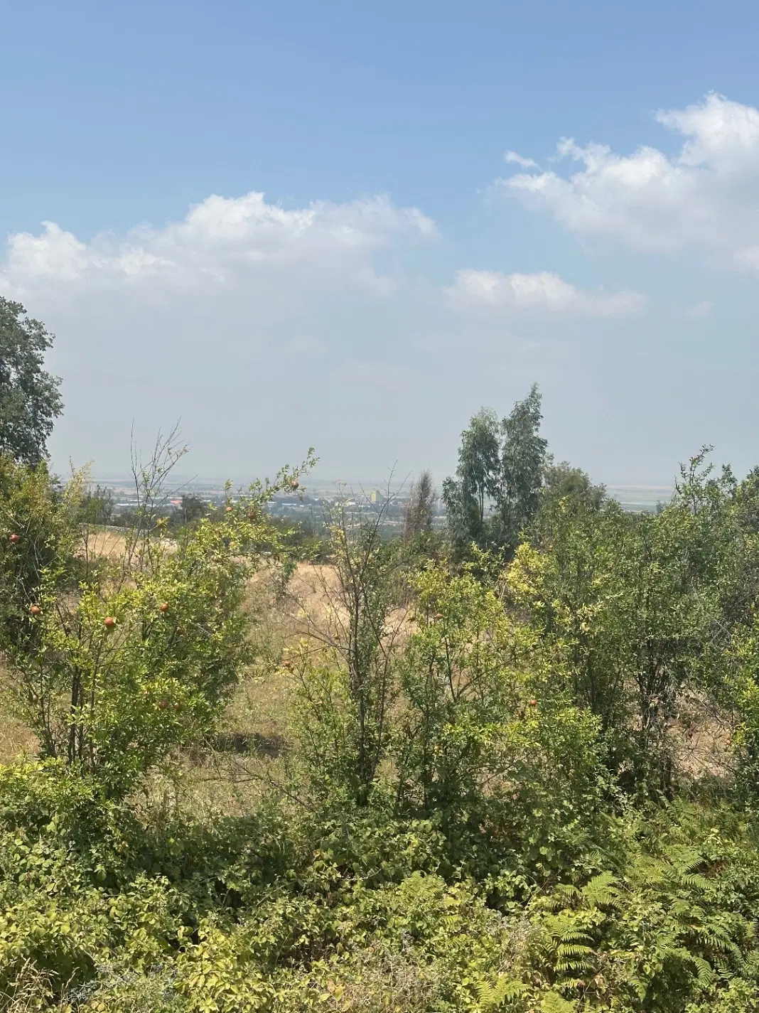 زمین فوق العاده زیبا