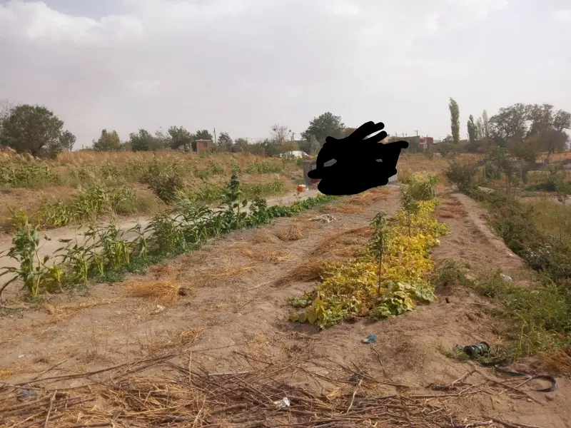 فروش زمین باغی