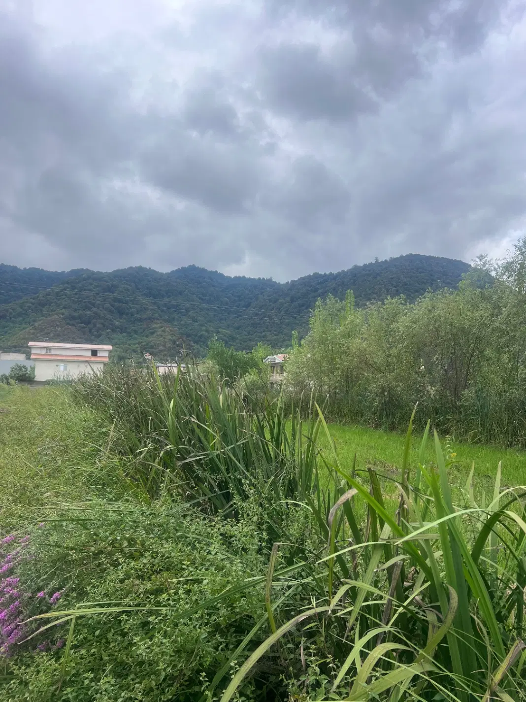 زمین ۳۵۸ متری روبه رو بام سبز