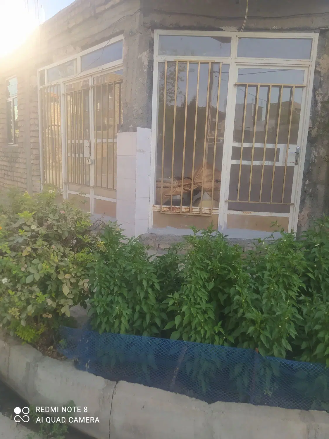 مغازه اجاره ای