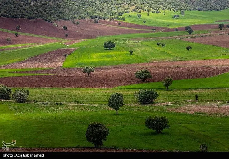 زمین فروش ناصرالدین کارگر 18