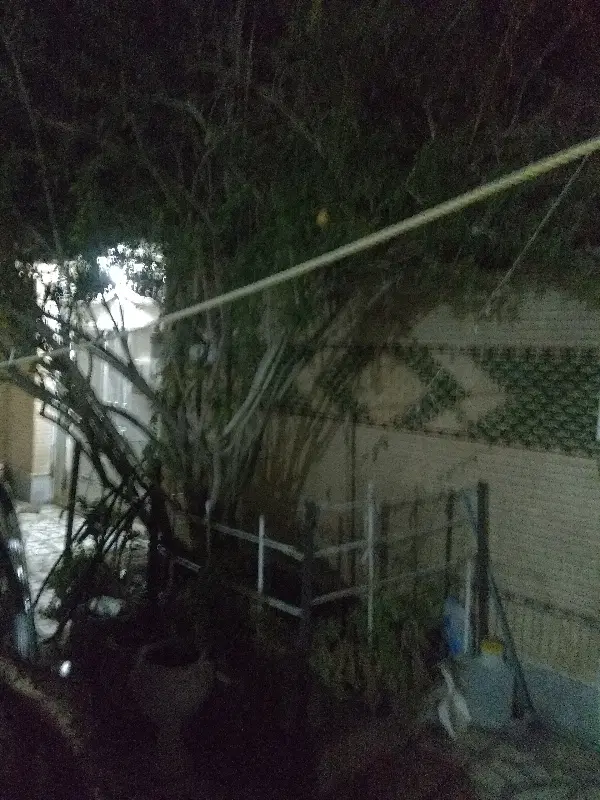 منزل کلنگی 460متر سیستان10