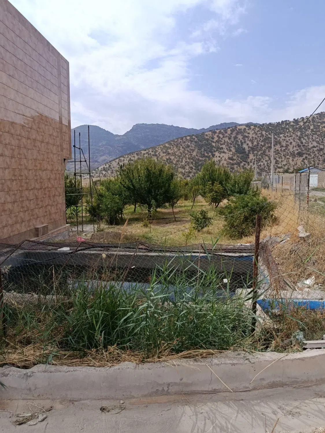 زمین باغ مجوز دار