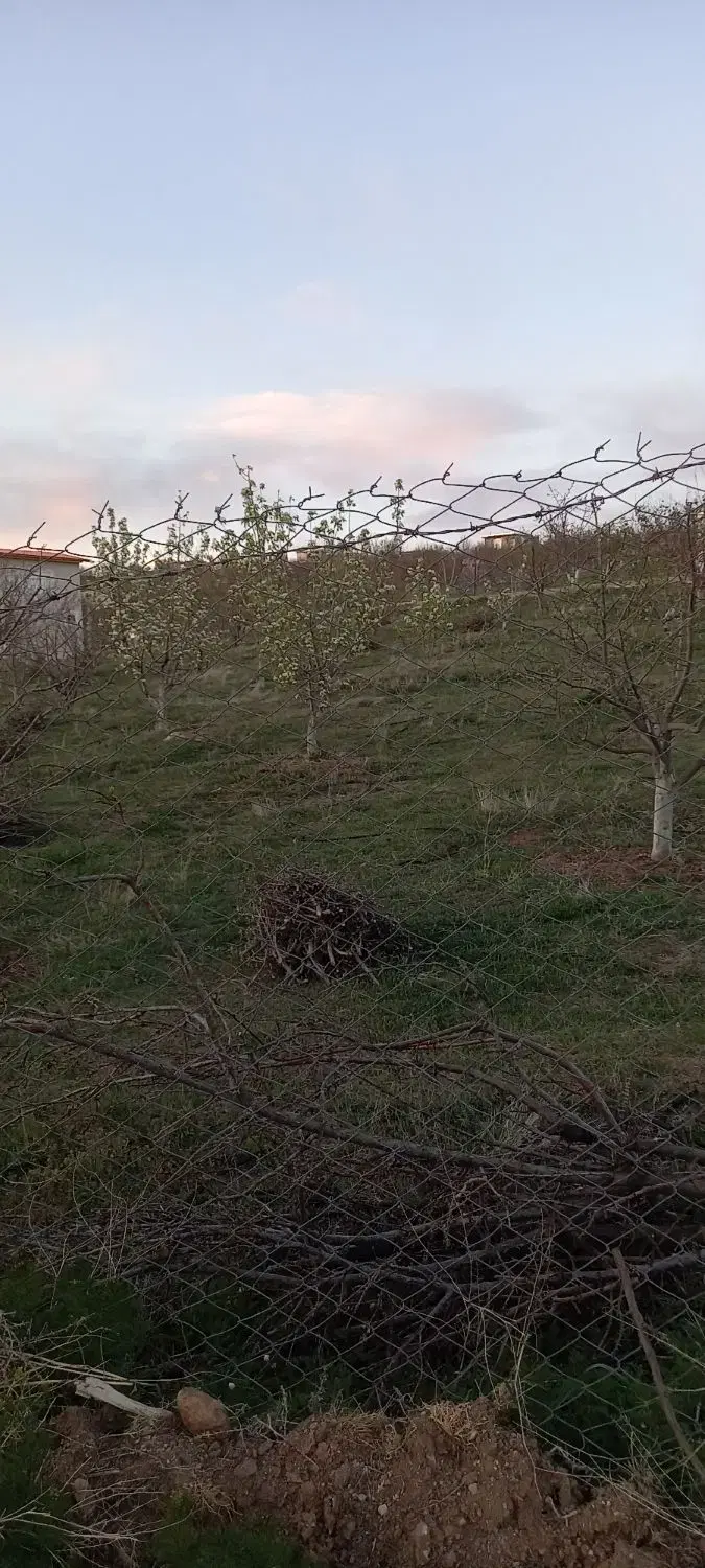 باغ دراهر روستای پسته بیگ