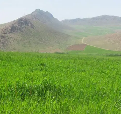 3200مترزمین ویلا باغشهر قلات آب‌پرده