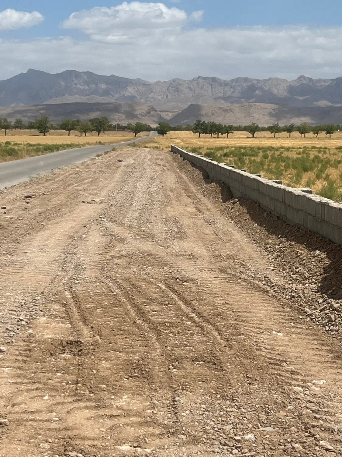زمین باغی سنددار متری ۷۰۰ هزار تومان گوارشک