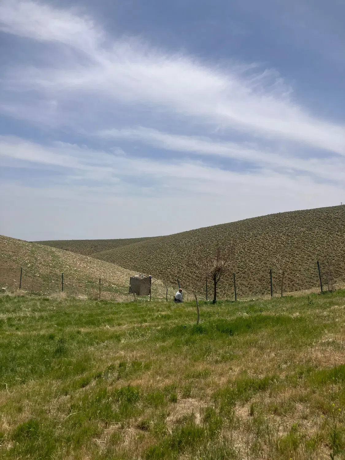 زمین کاربری تجاری
