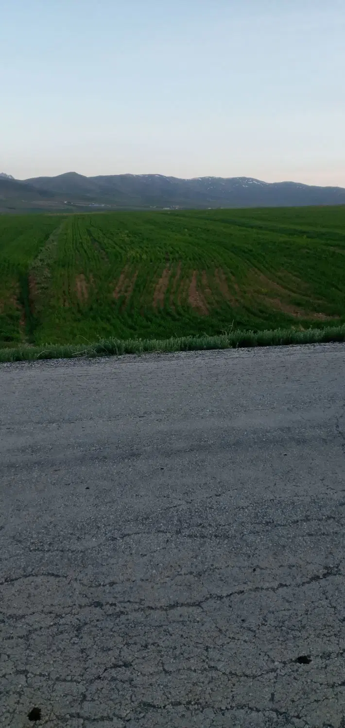 ۱هکتارزمین کشاورزی .دیم لب جاده.