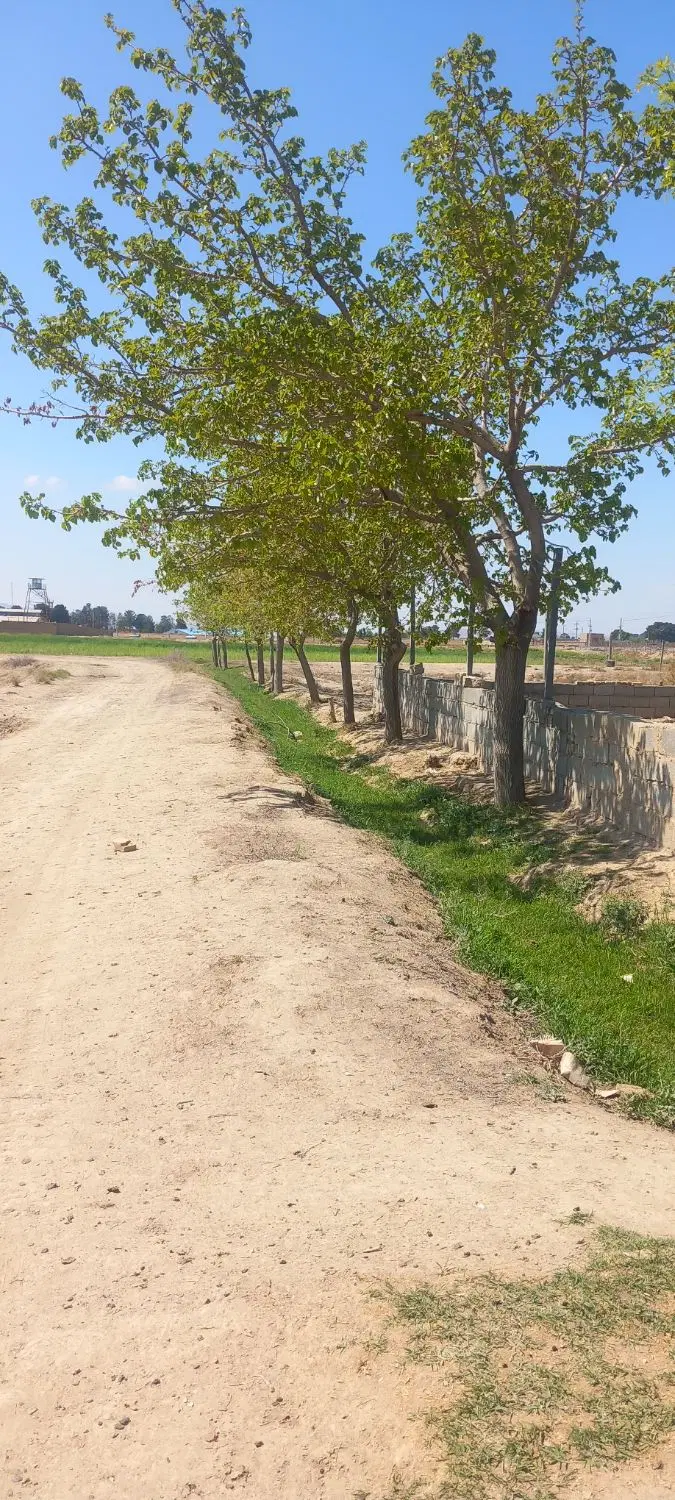 زمین کشاورزی