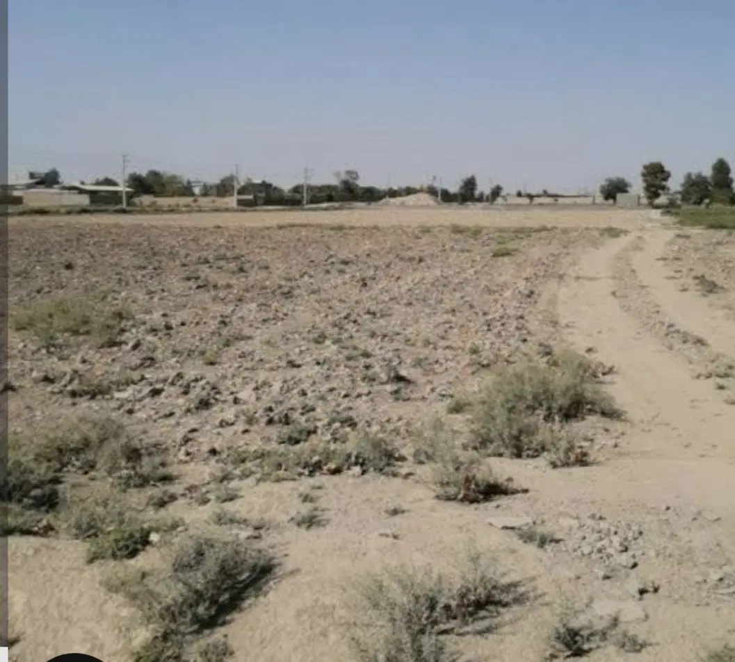 زمین واقع در کوه سفید