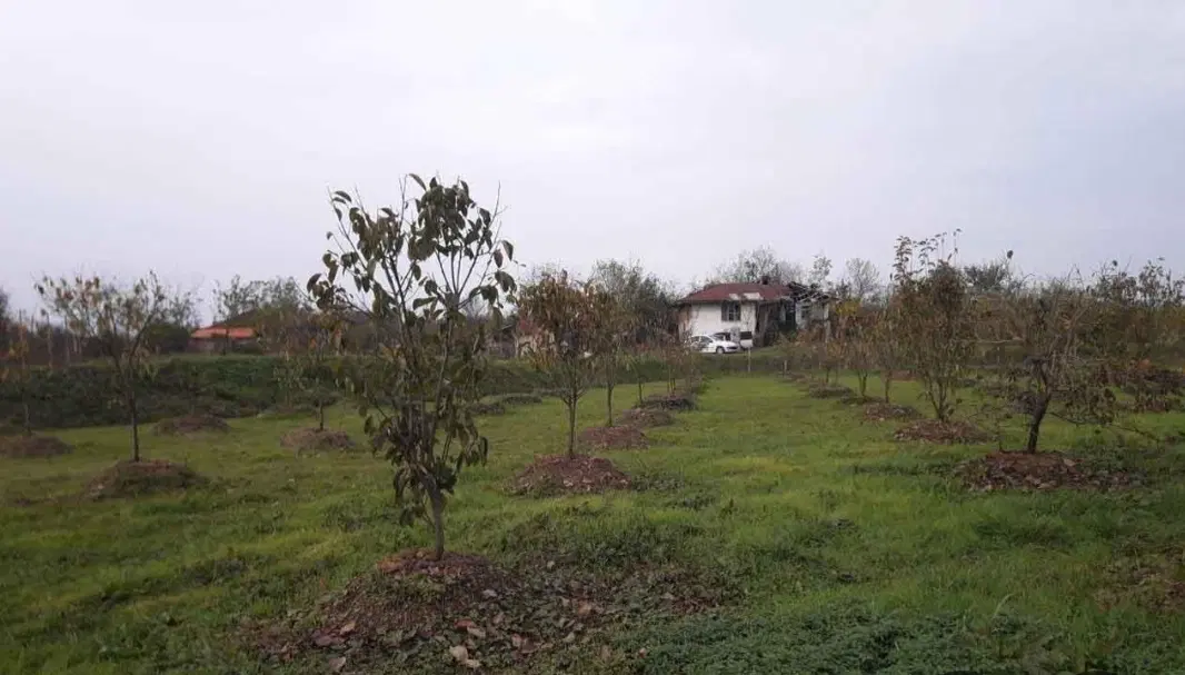 فروش ۸۰۰مترزمین روستایی