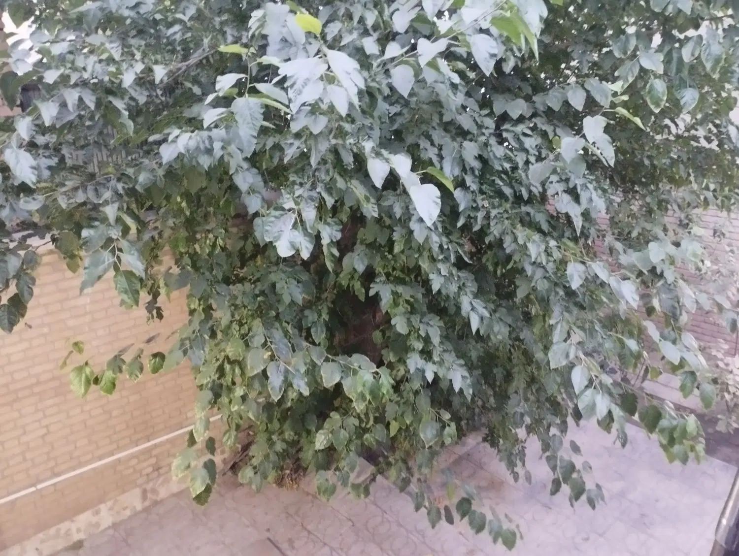فروش خانه ویلایی 200 متری