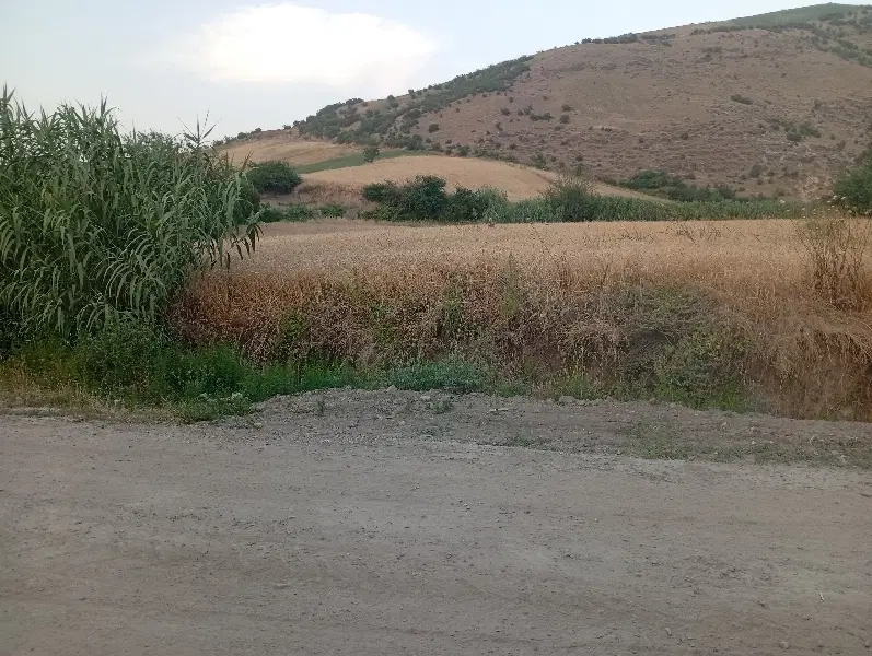 زمین مسکونی