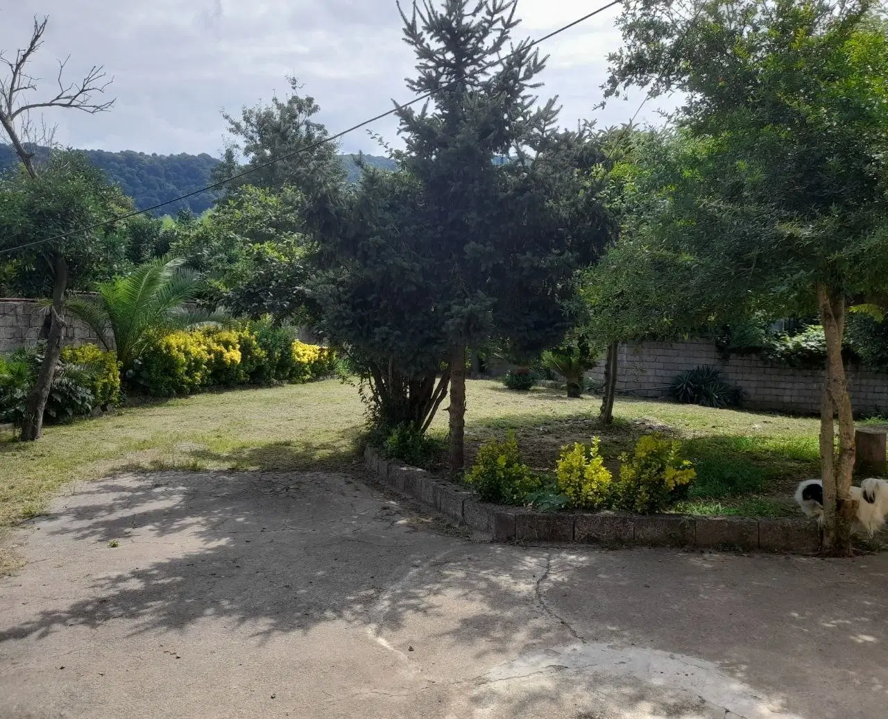 باغ ویلا