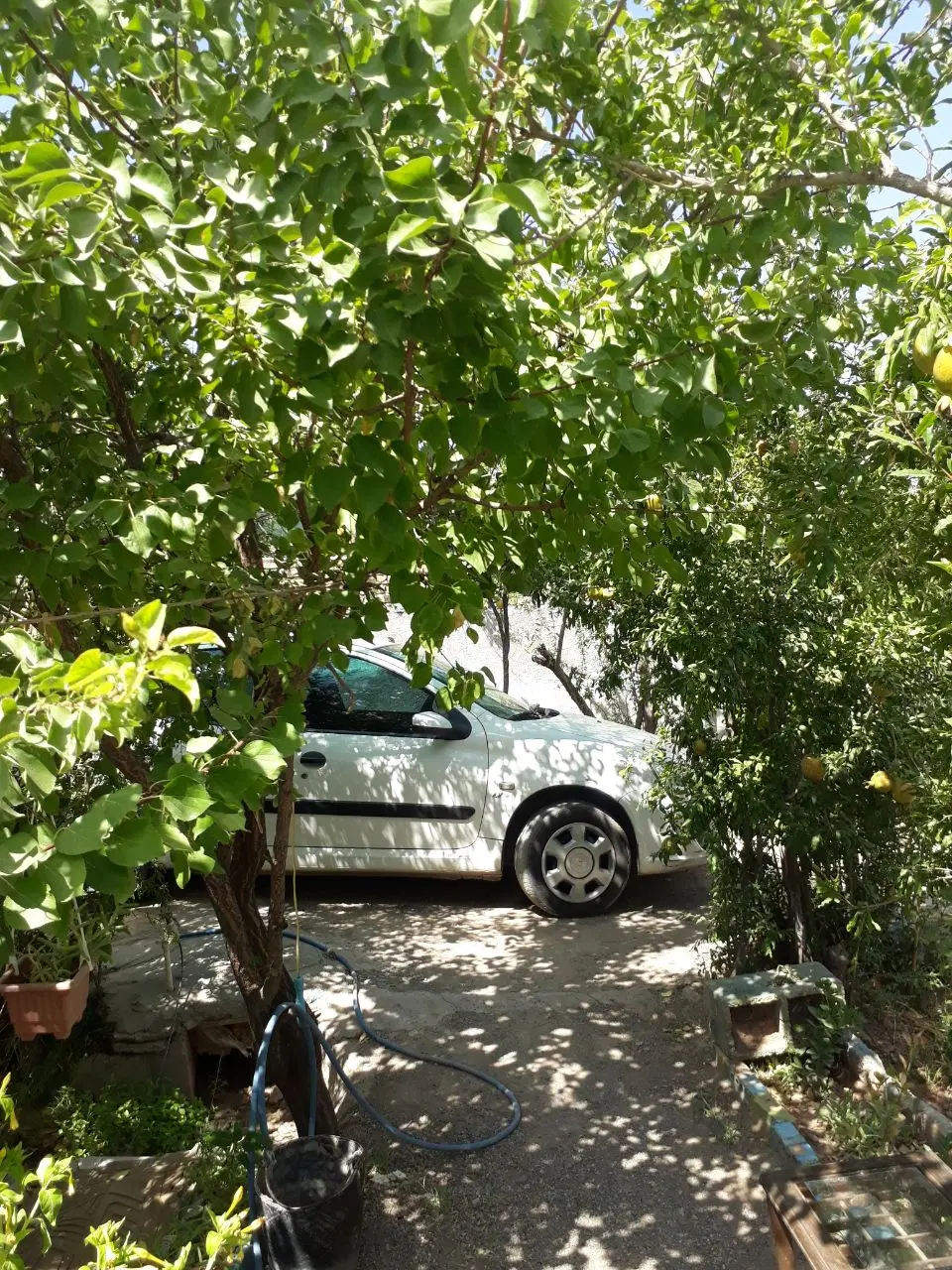 باغ دو هزار متری در خسروجرد