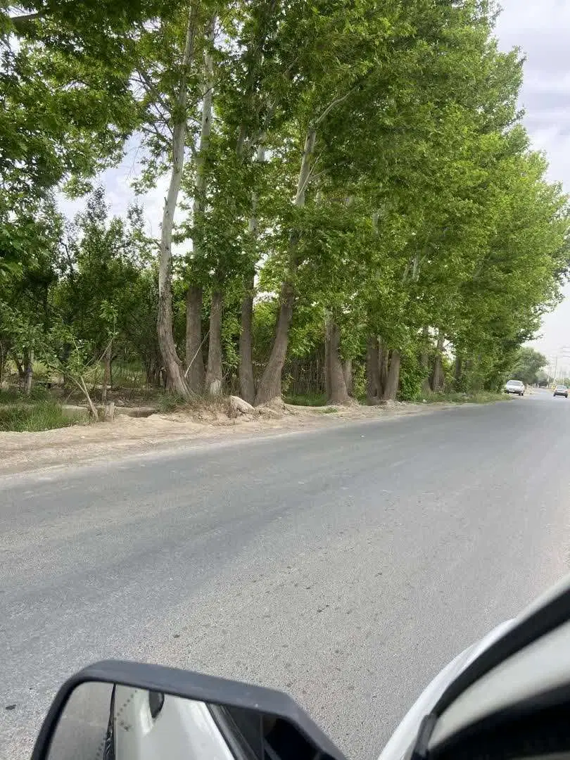 1000 متر باغ سند دار بر خیابان اصلی