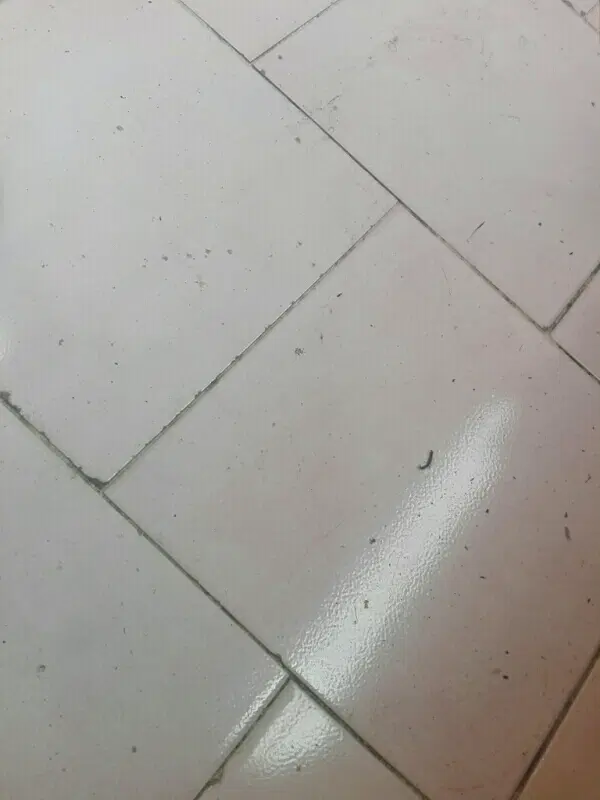 رهن و  اجاره فلکه صفائیه نزدیک به بر