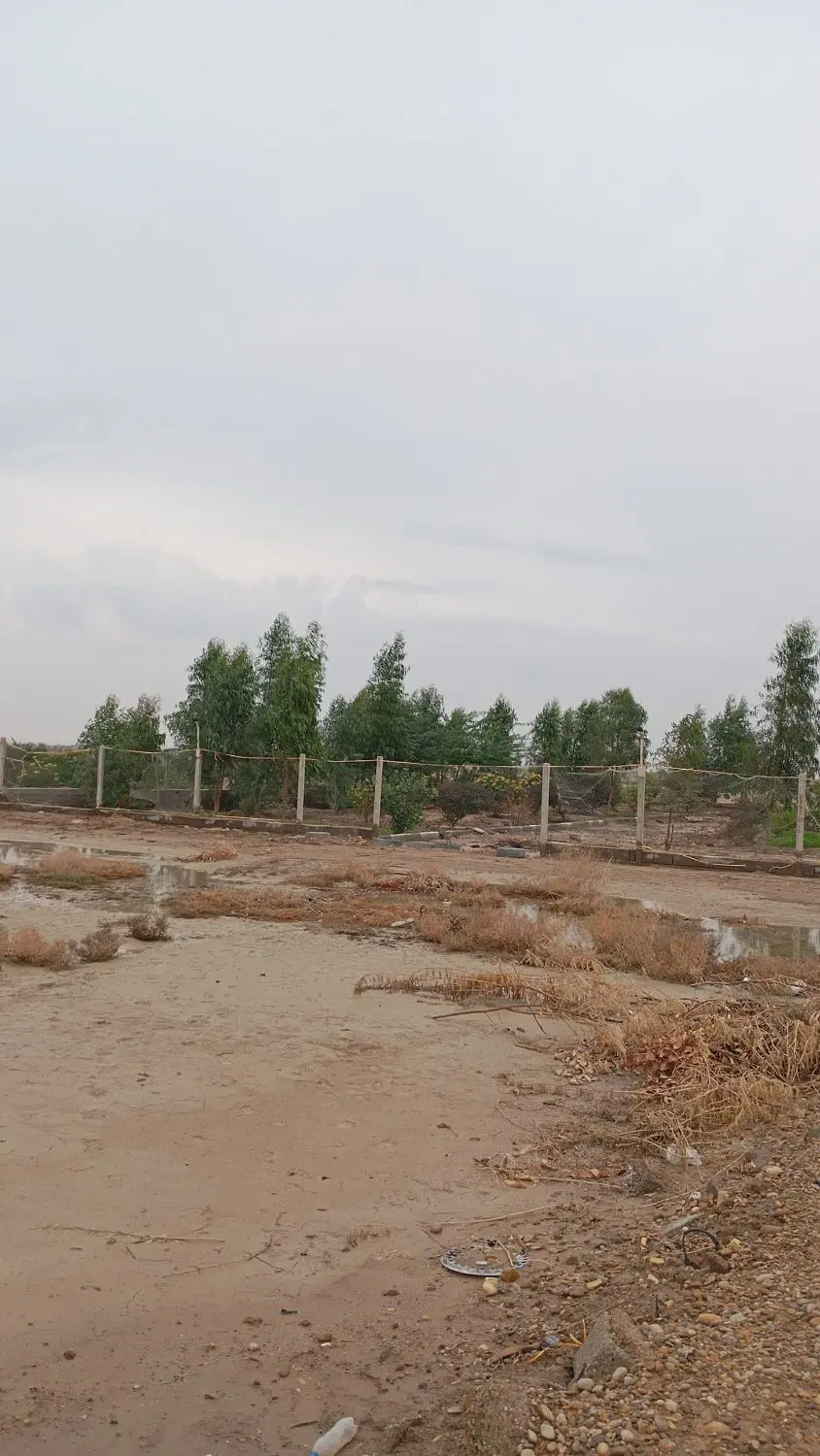 زمین باغی