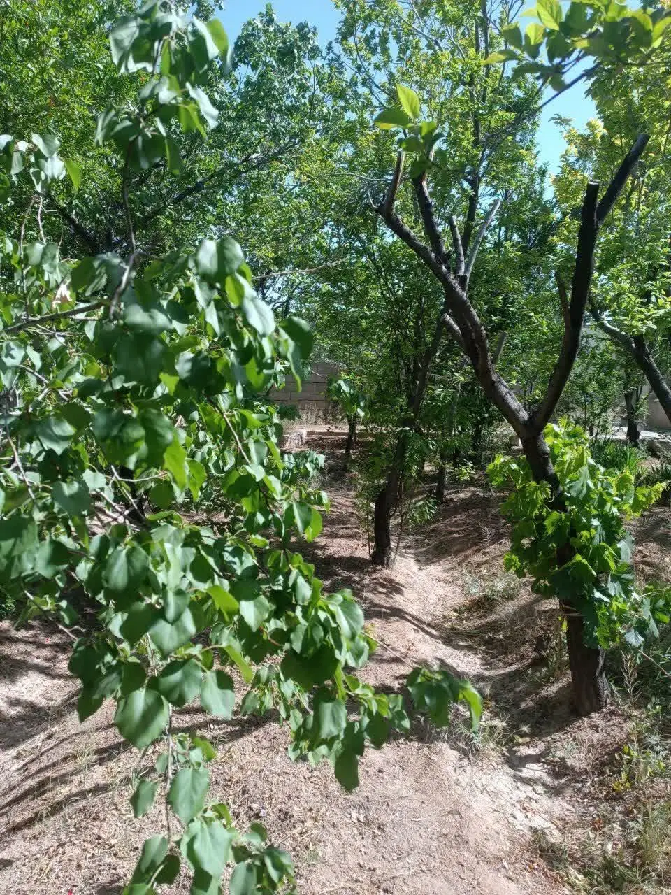 خونه قدیمی آهن وآجر