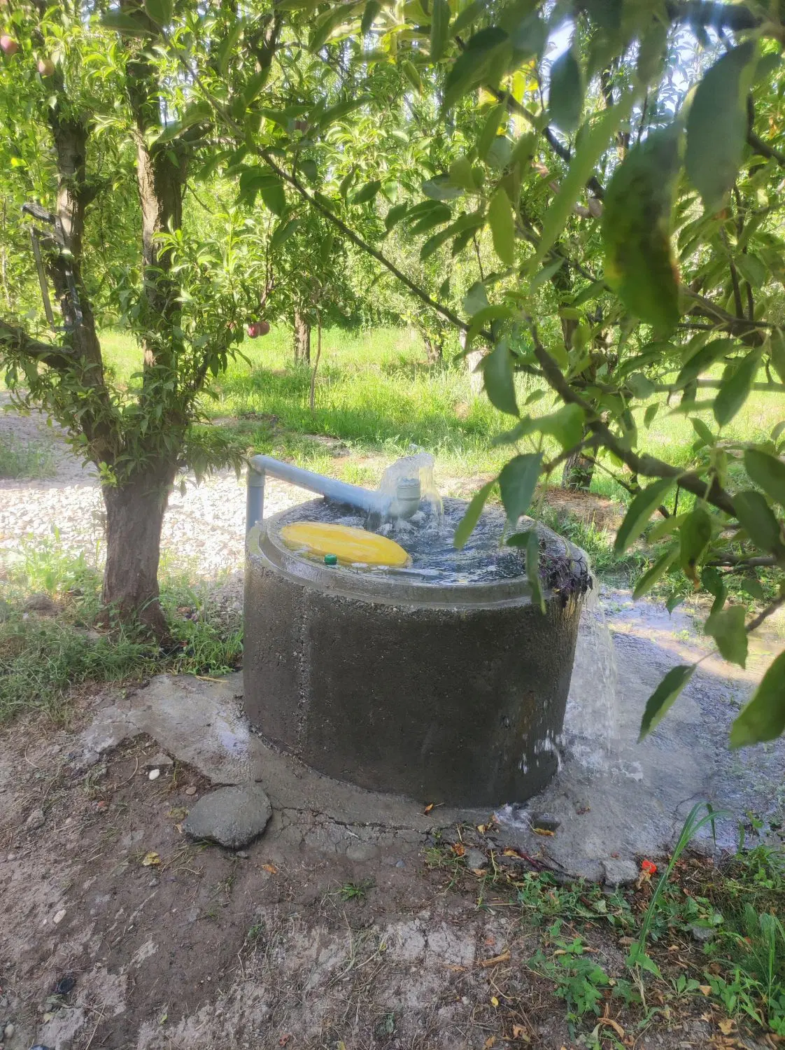خونه باغ با آلاچیق 1000متر