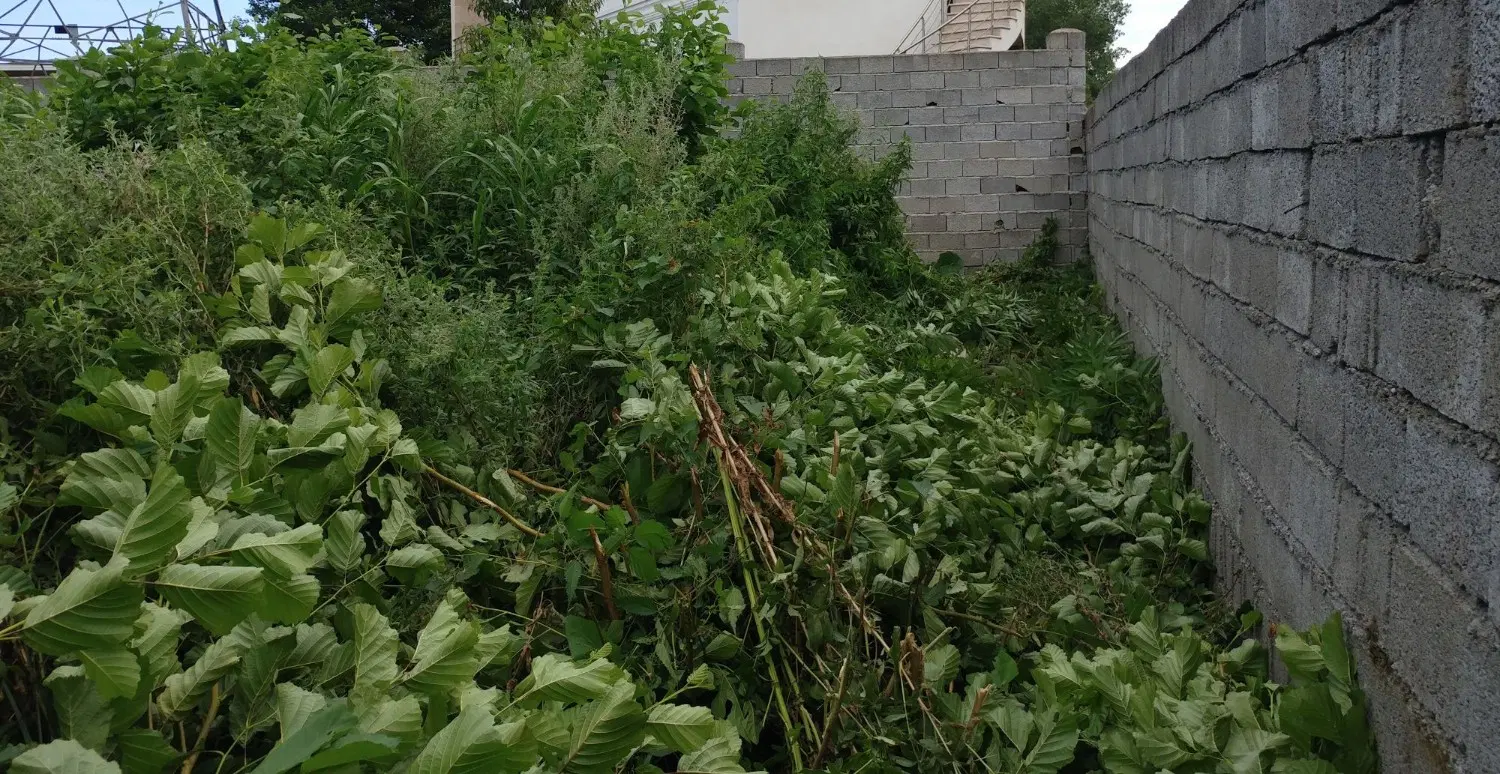 قطعه زمین با کاربری مسکونی در کتالم