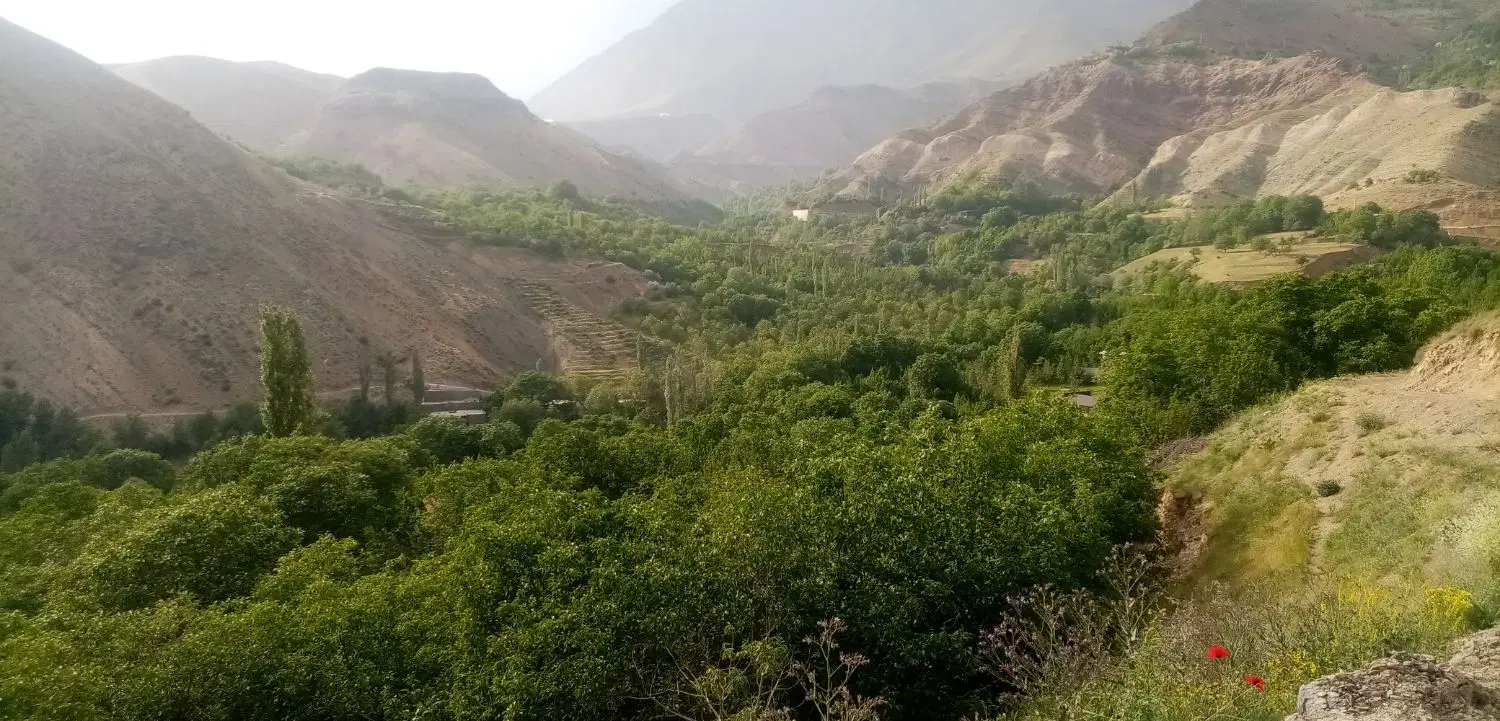 باغ ماشین رو
