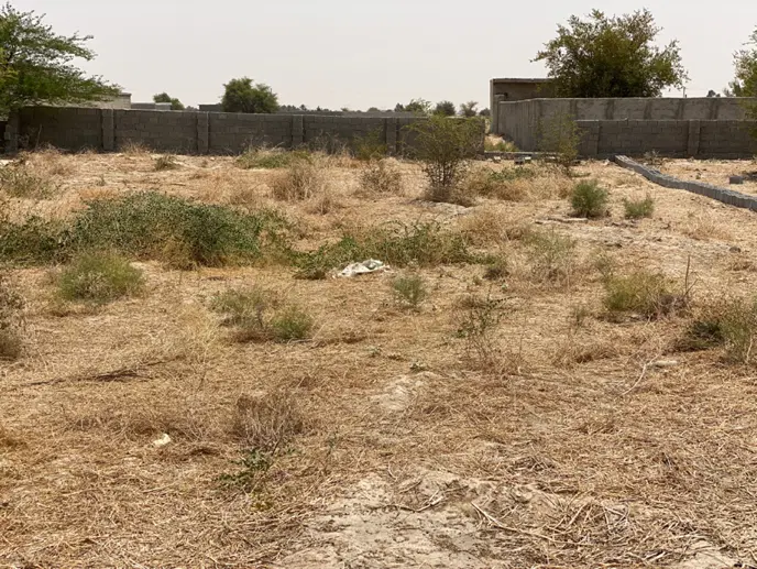 زمین ۱۰۰۰ متری