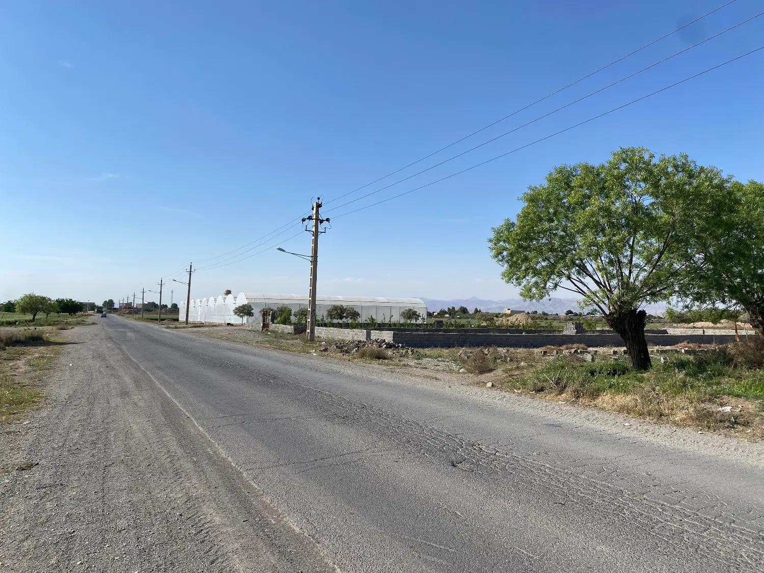 زمین باغی