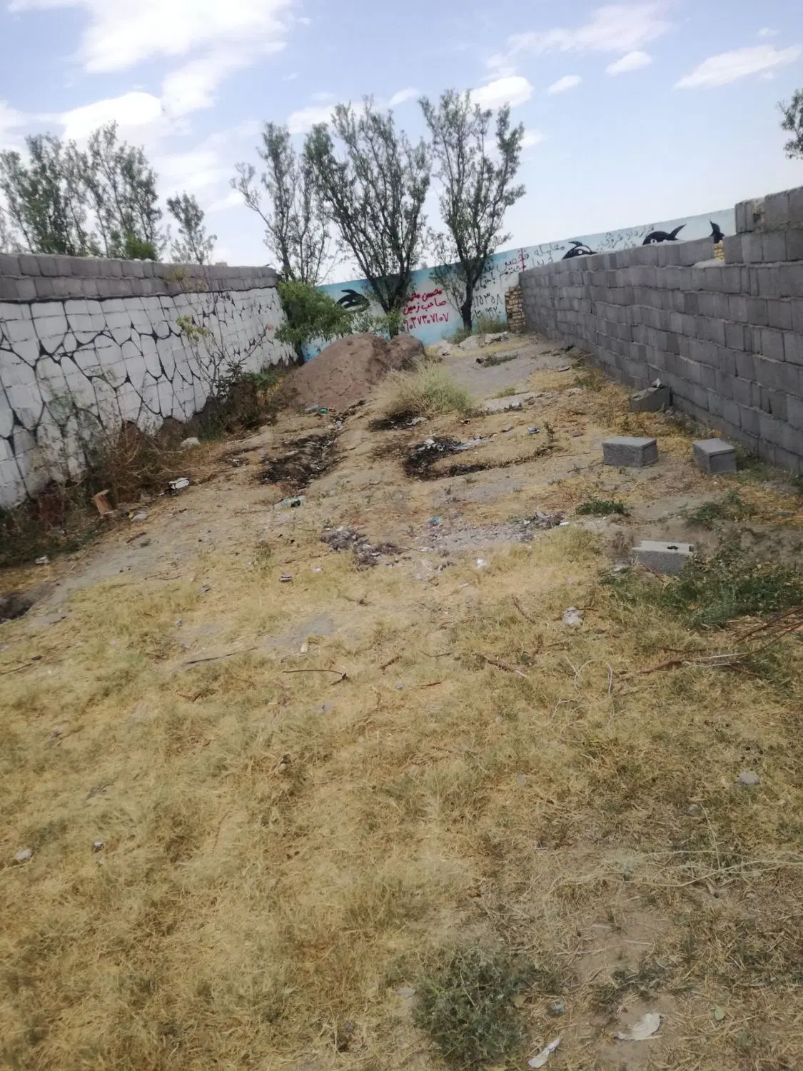 زمین 150 متری
