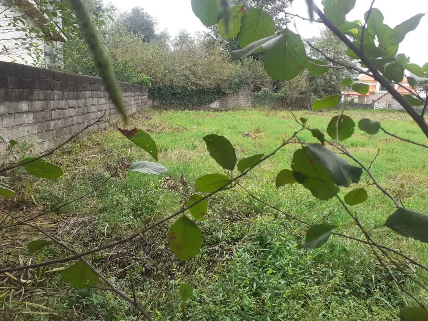 فروش زمین مسکونی تجاری