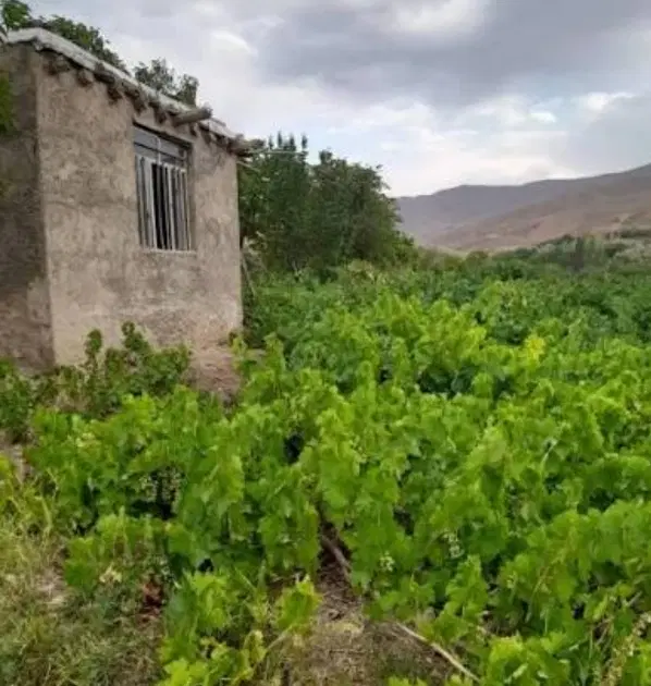 معاوضه باغ با خانه