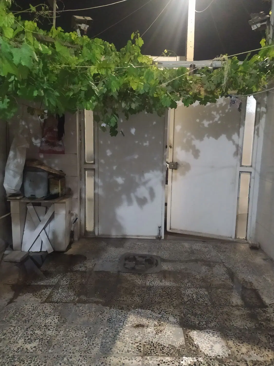 خونه جزایری ، نیلوفر ۷