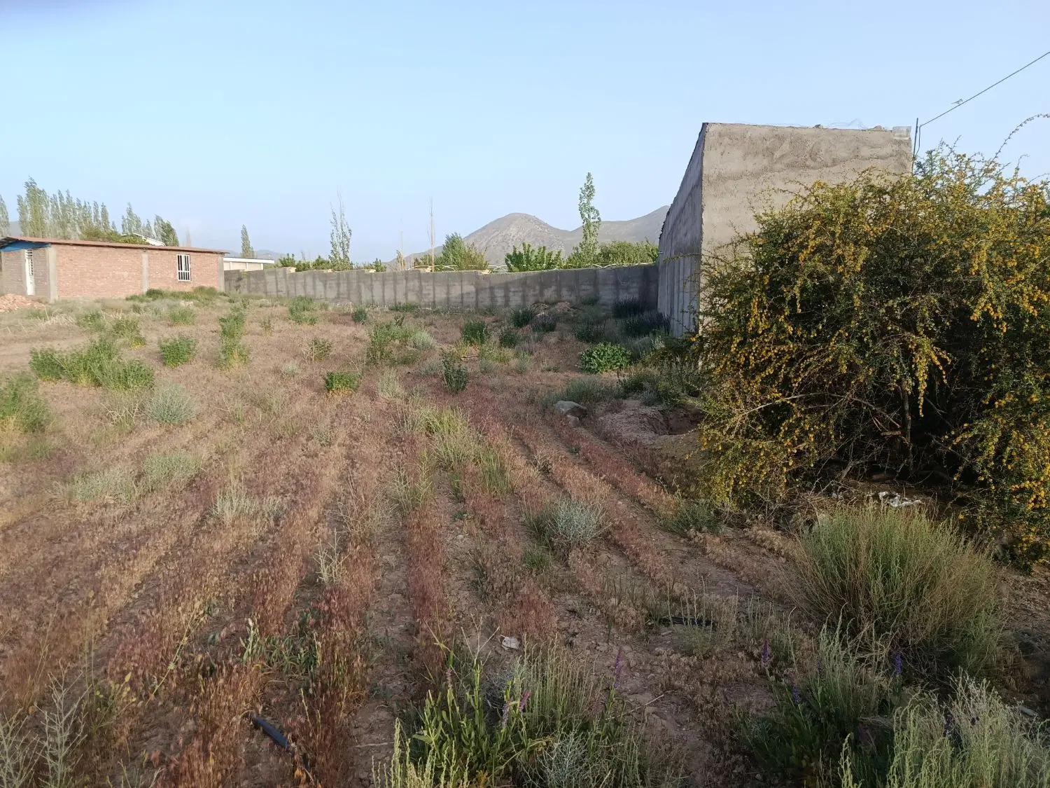 زمین مسکونی سیف آباد
