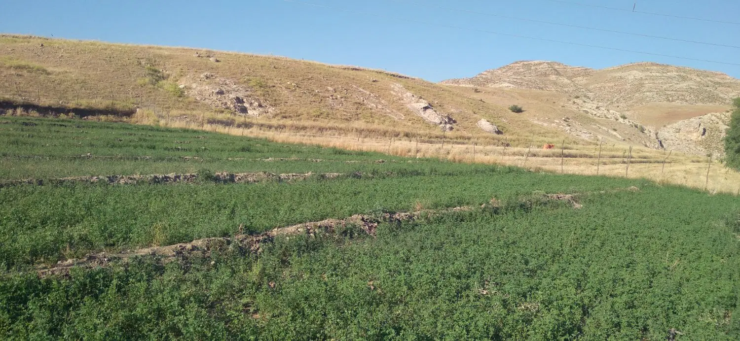 زمین کشاورزی،ابی