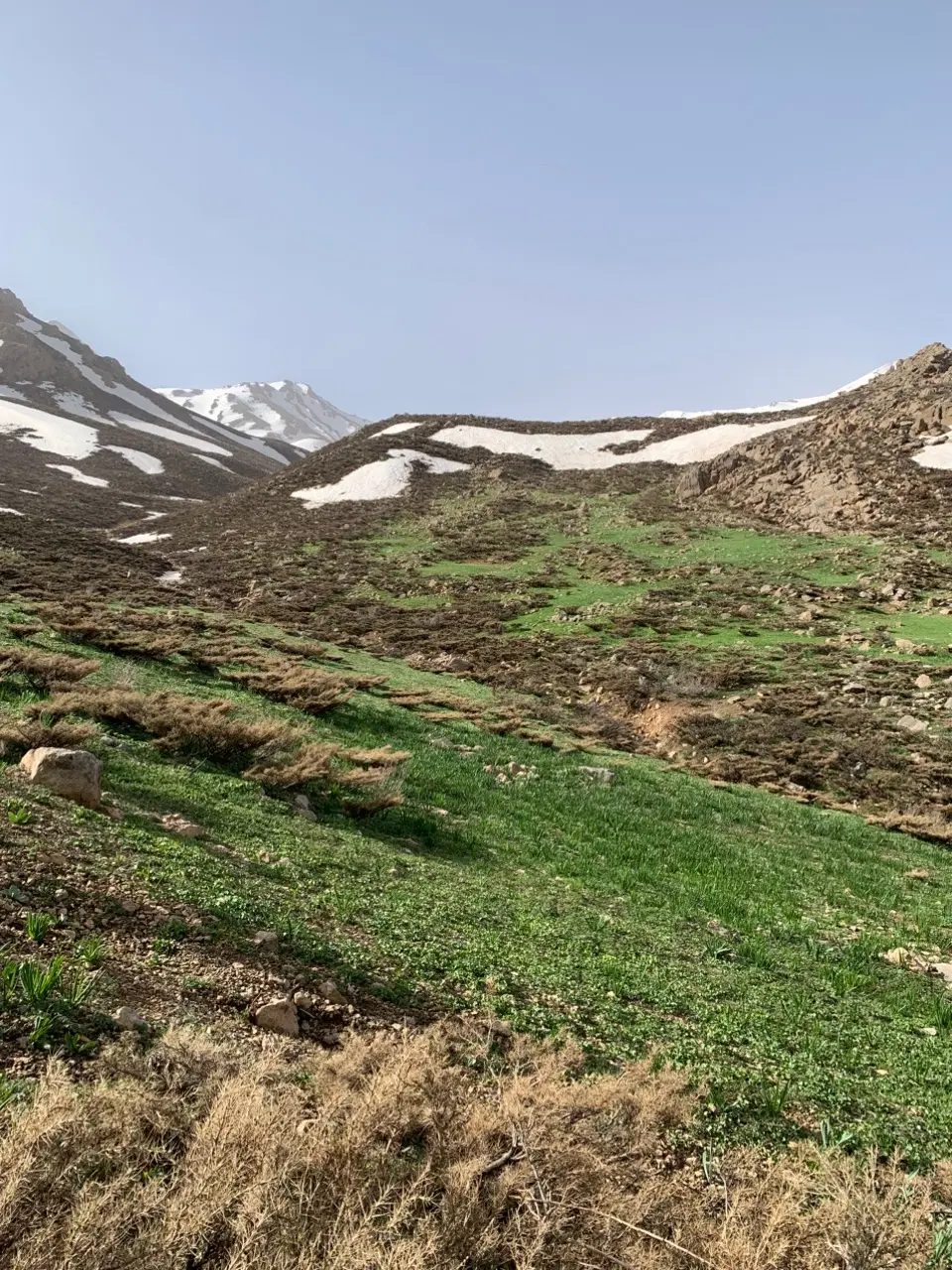 فروش زمین باغی کناره سددره ریز