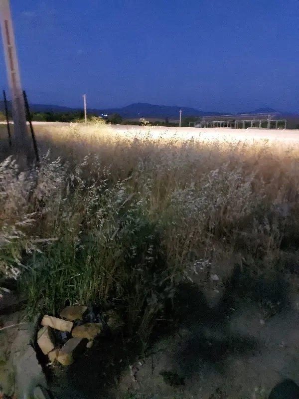 زمین شهرکی ۶ درصدی مهرگان