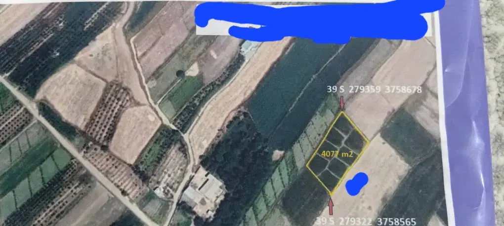 زمین کشاورزی