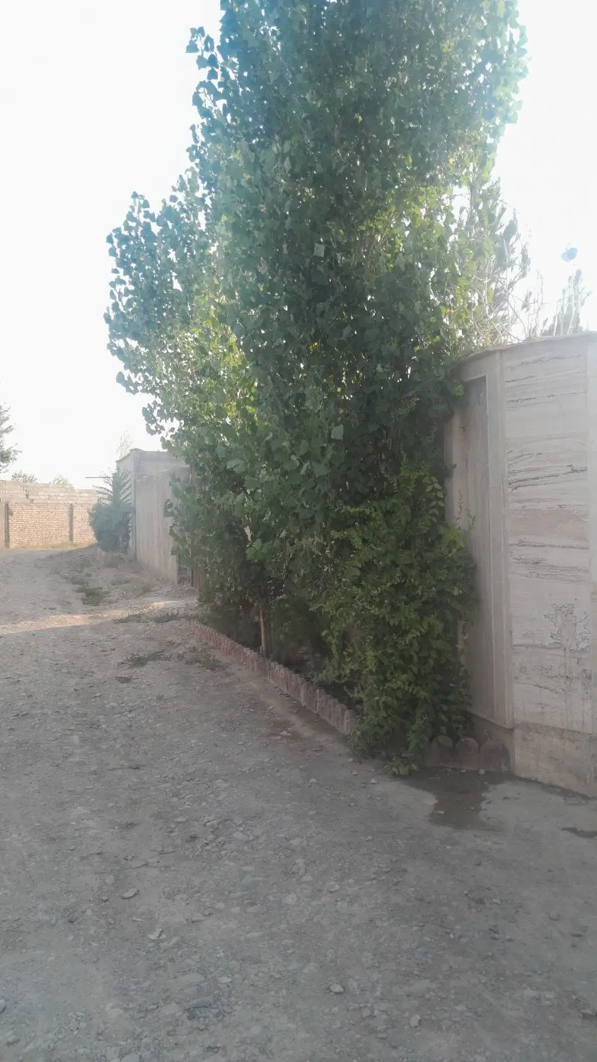فروش یک دستگاه.باغچه 530متری.قیمت6300.