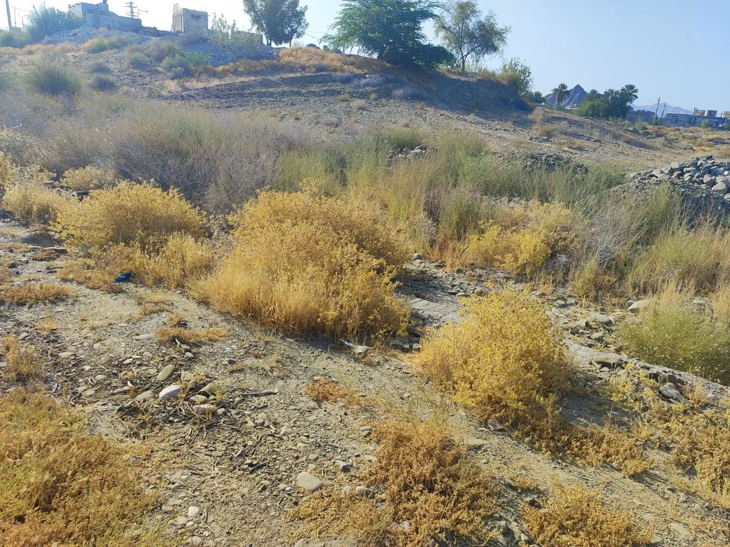 فروش زمین تجاری در شهر سندرک