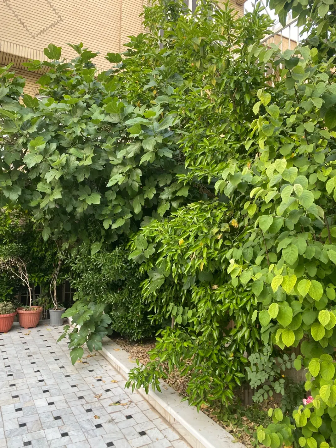 منزل کلنگی فروشی نزدیک حرم بحر خیابان