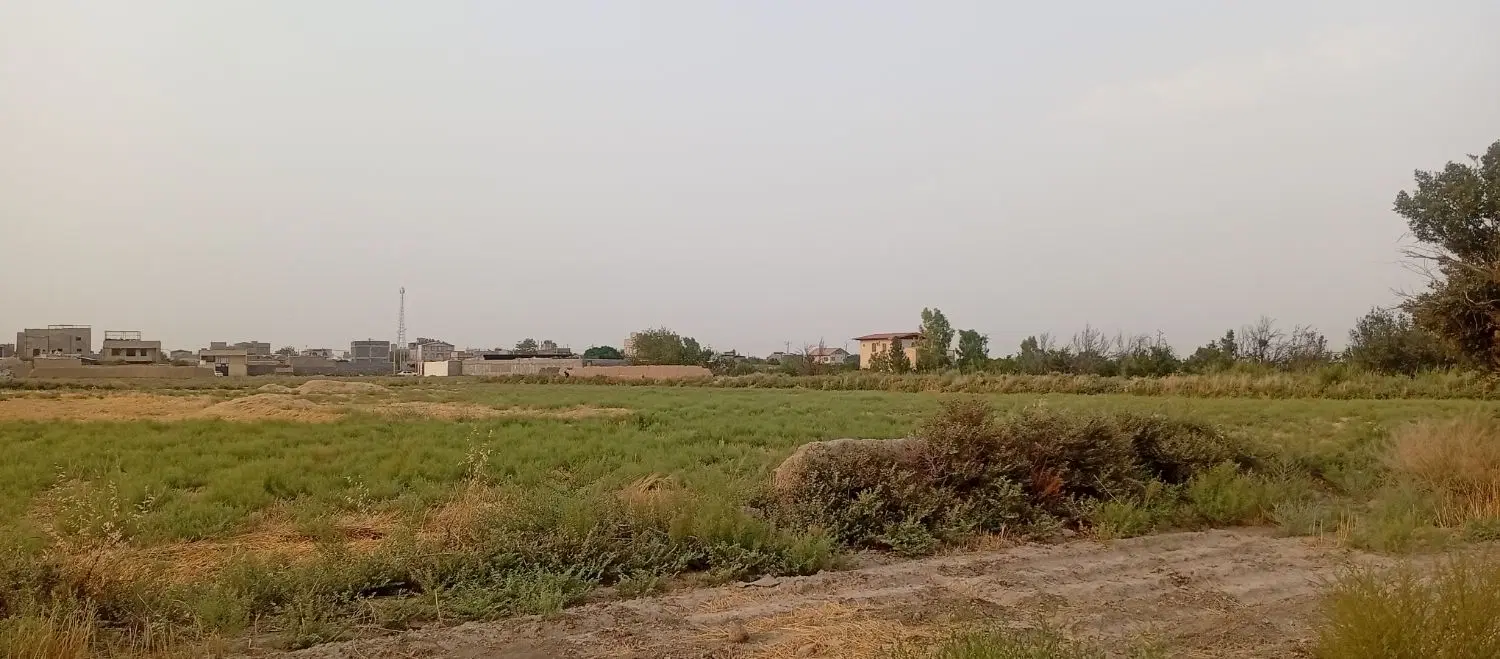 سرمایه گذاری مطمئن در قلب طبیعت روستای الوسجرد