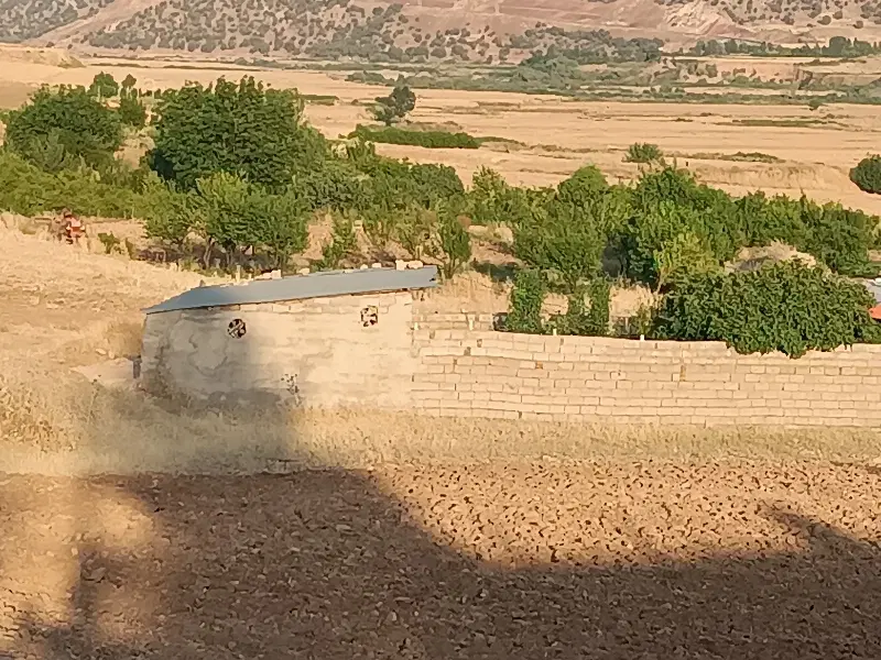 زمین کشاورزی