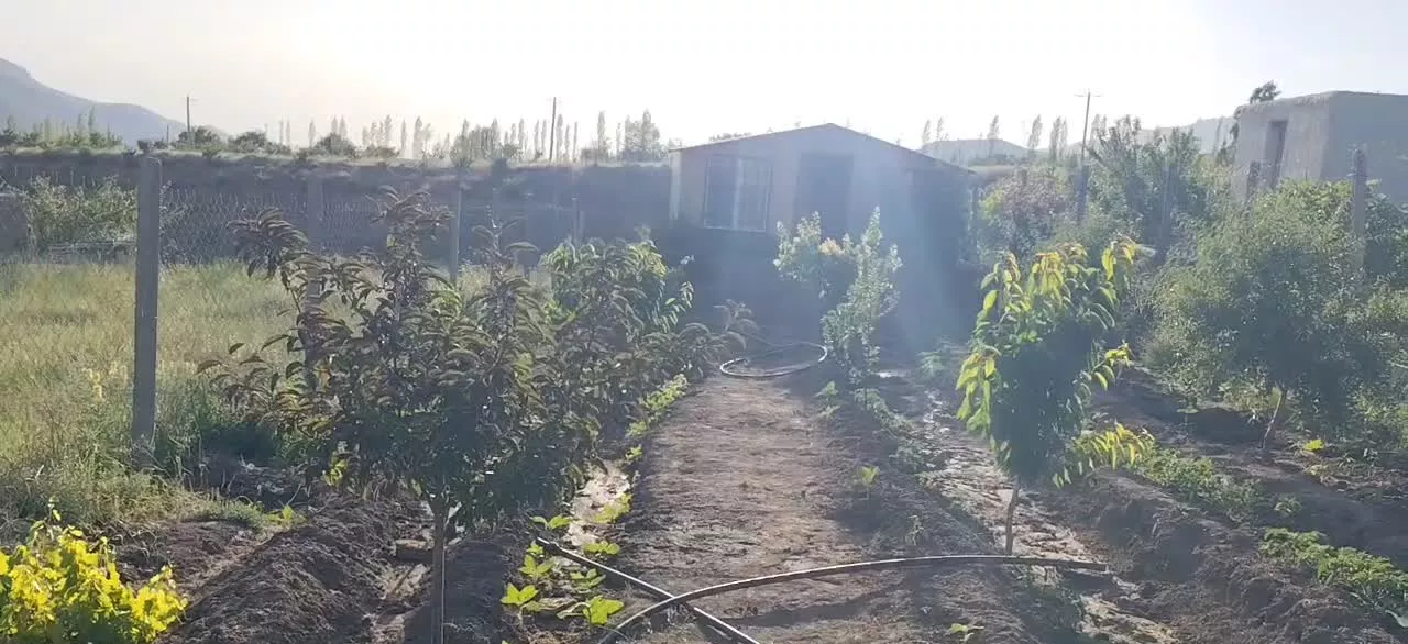 خونه باغ در جاده طالقان ویلا باغ