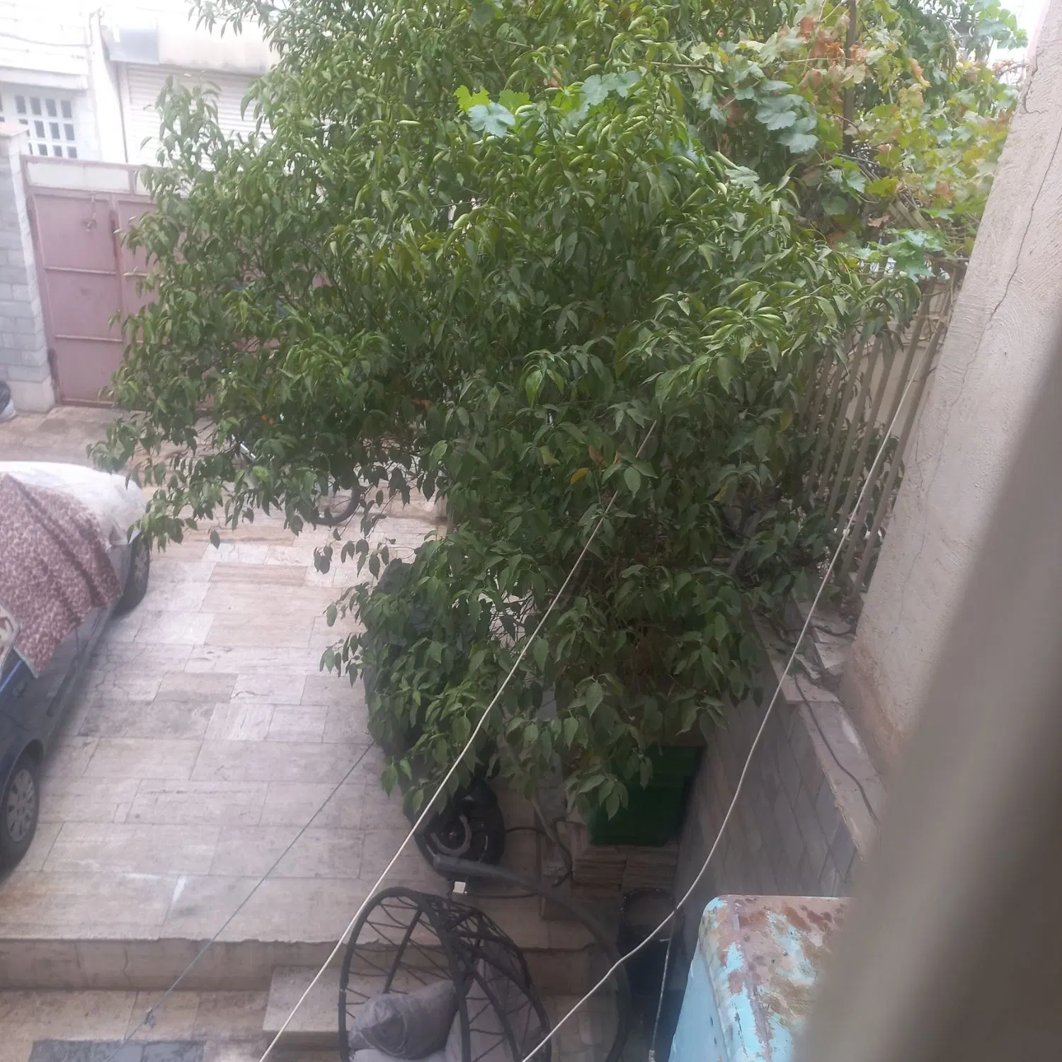 یک واحد آپارتمان زیر همگ