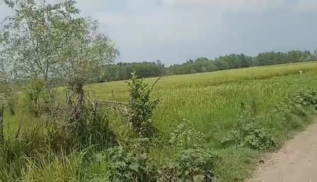 زمین_زراعی_مسکونی