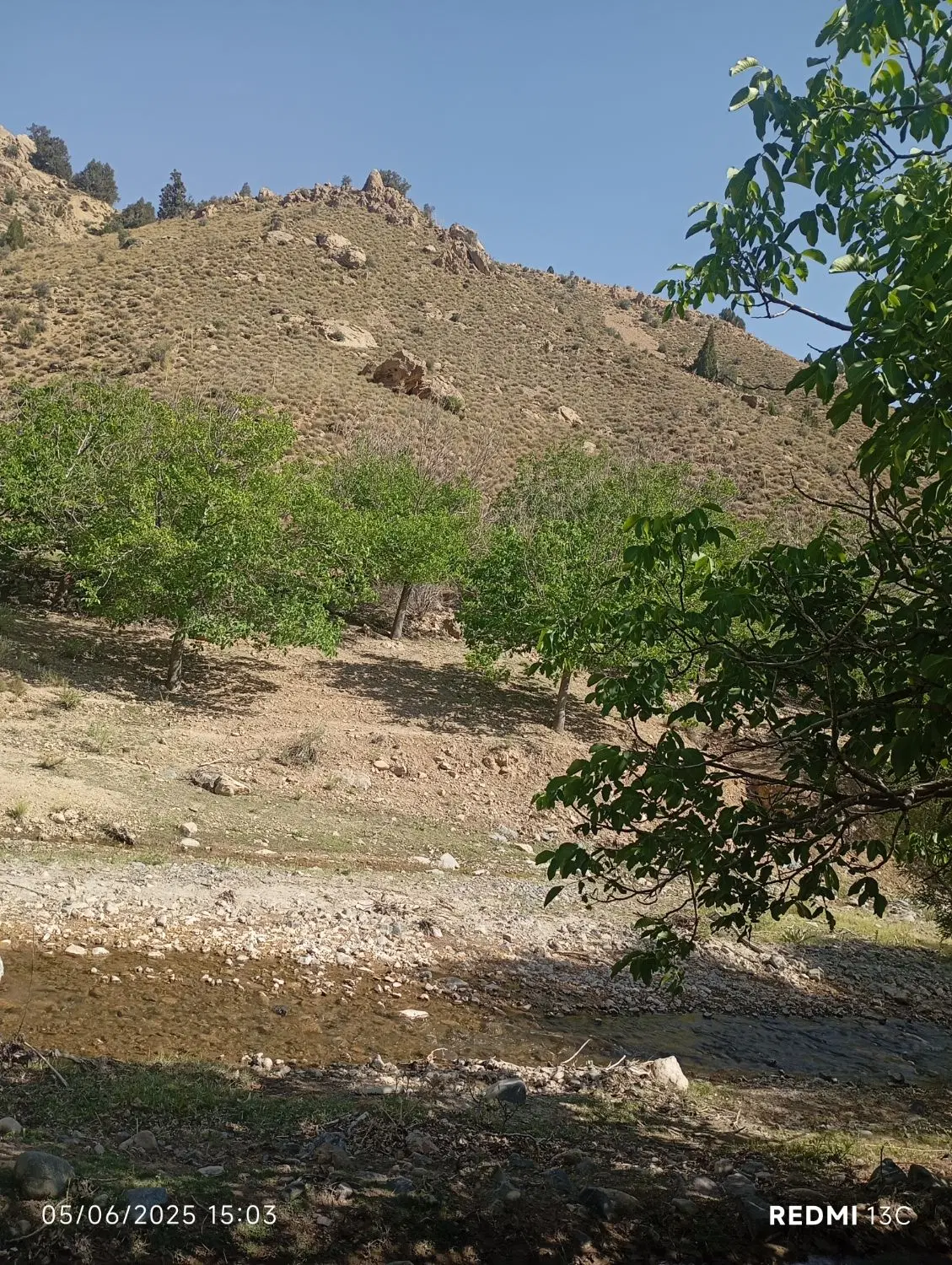 50 قصب زمین روستای دره رود