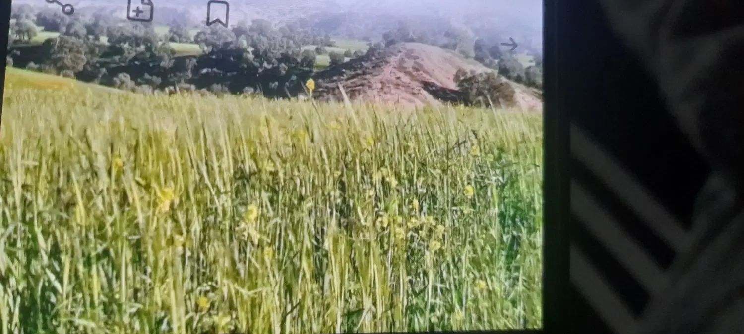 زمین کشاورزی مناسب باغ