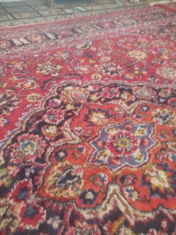 سکونت رایگان