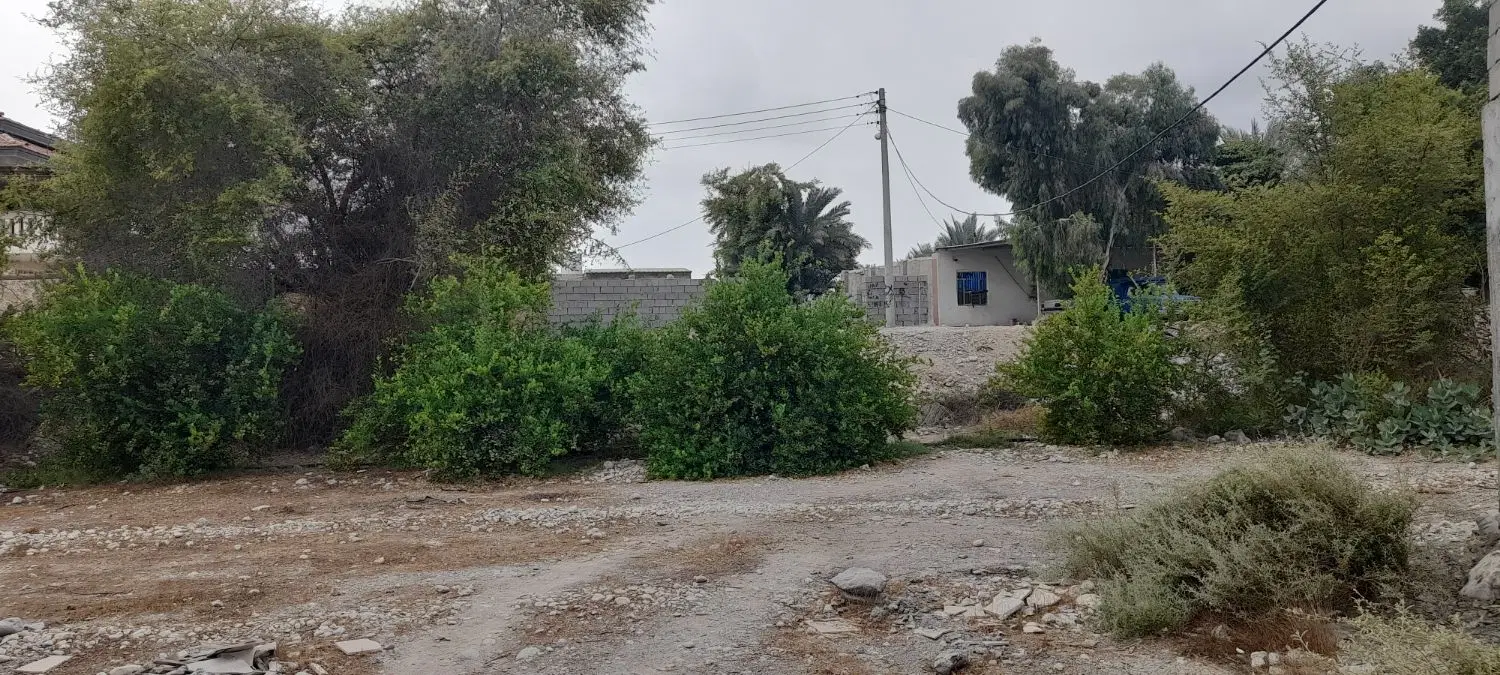 زمین روستای سرخون بهترین موقعیت