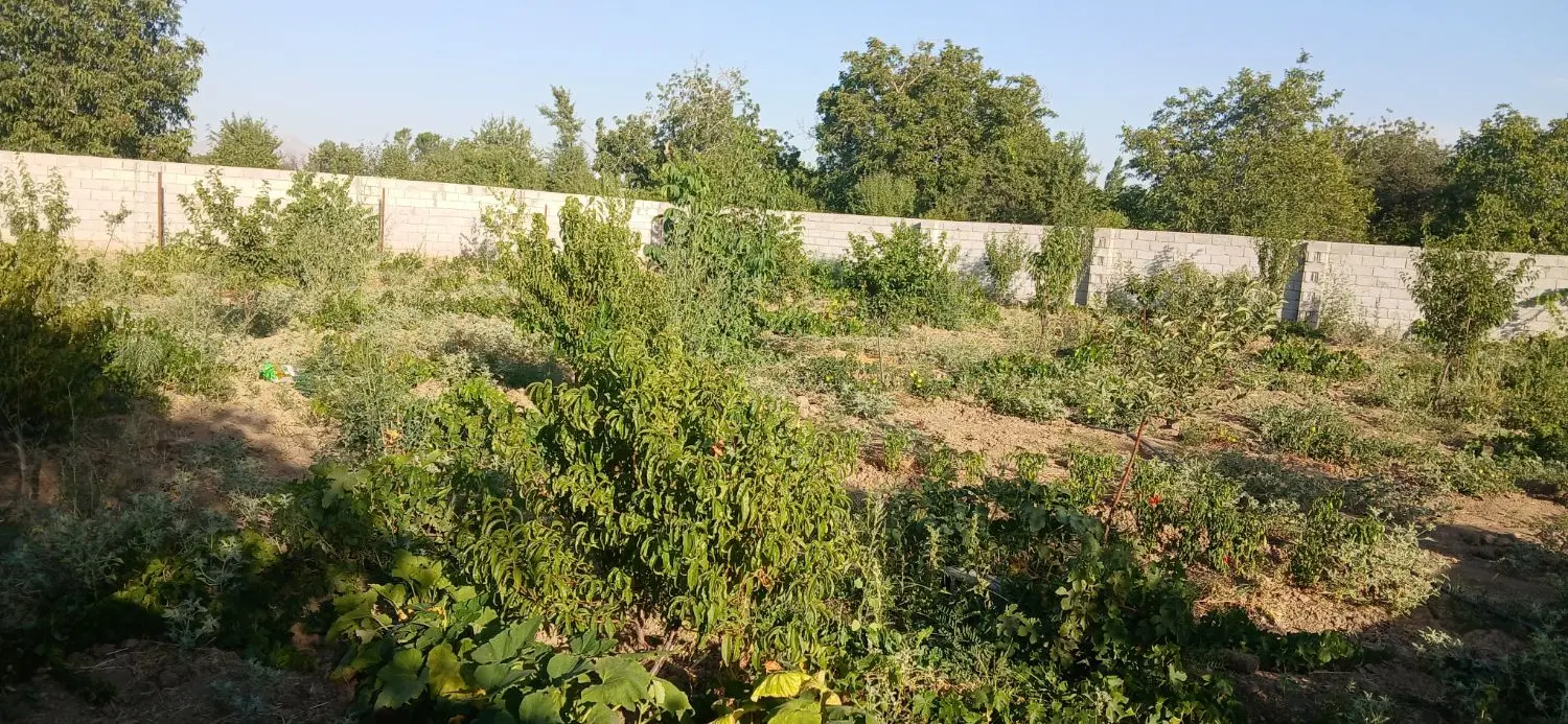 فروش یک باغ استخر دار نزدیک شهر